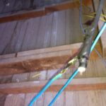 WhatsApp Image 2021-08-24 at 18.04.06 (3)